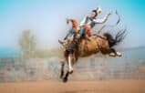 closing in on new clients rodeo rider