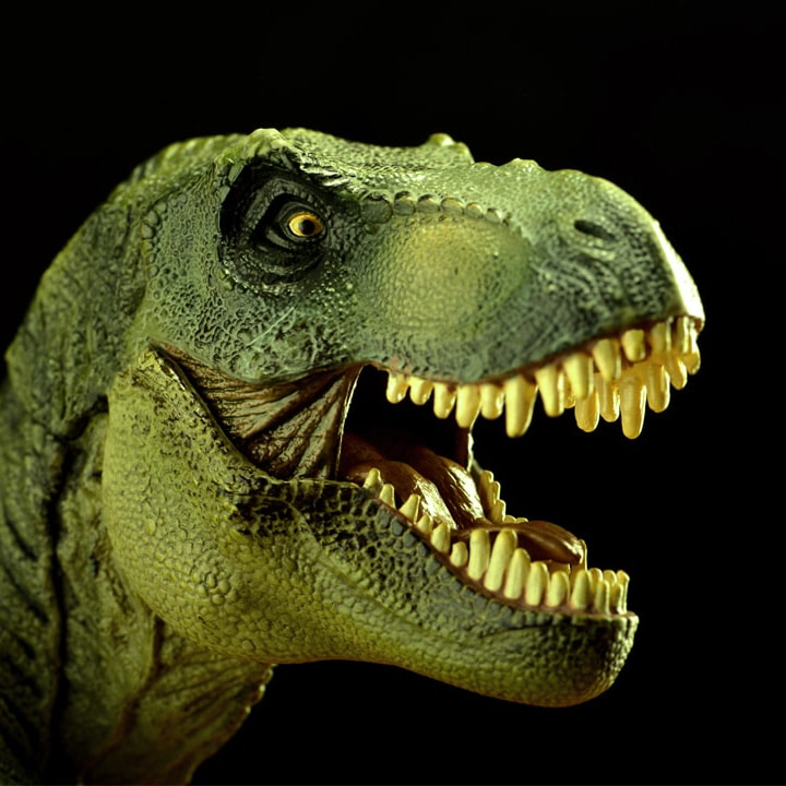 Otto Sorts Dinosaur Head