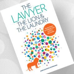 The Lawyer, the Lion, and the Laundry Organize Your Time