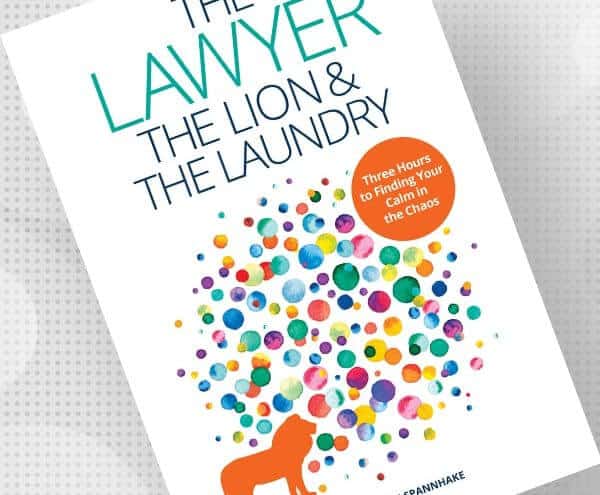 The Lawyer, the Lion, and the Laundry book cover