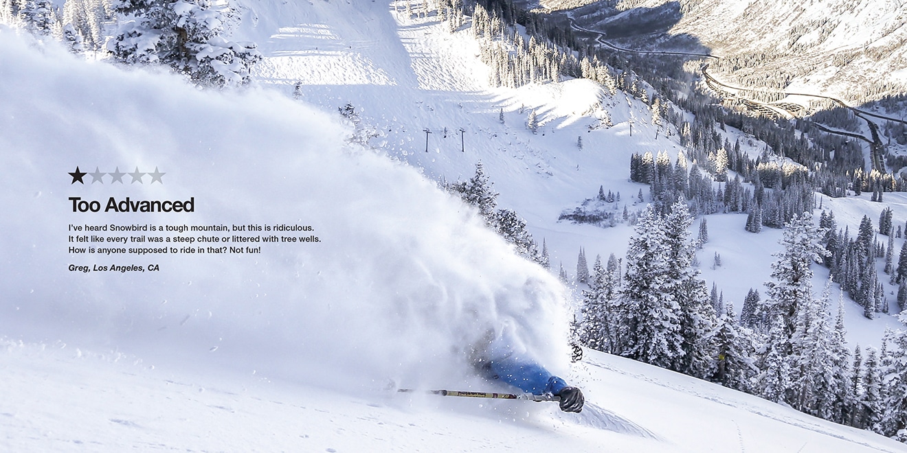 snowbird print ad