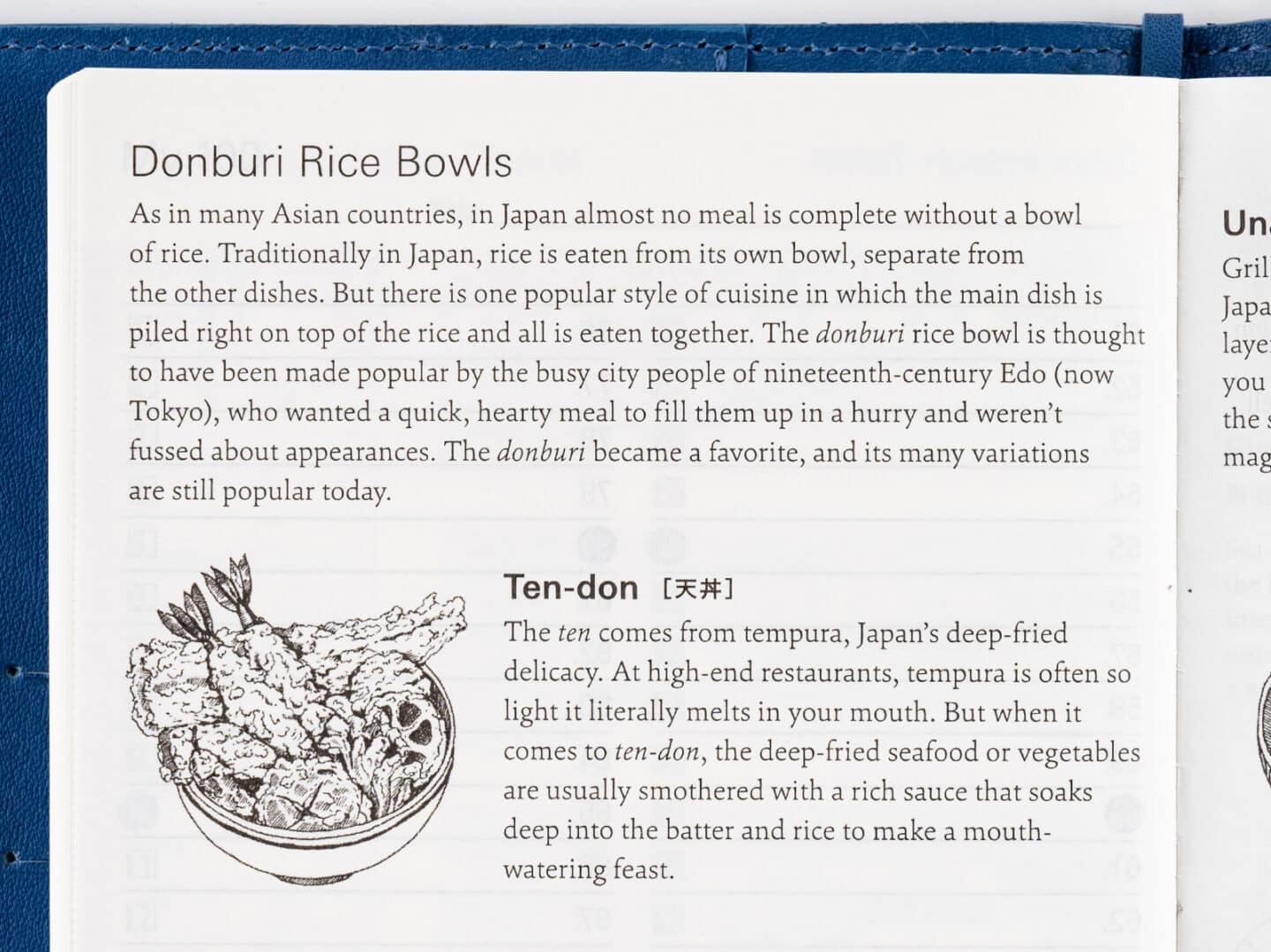 Donburi Rice Bowls