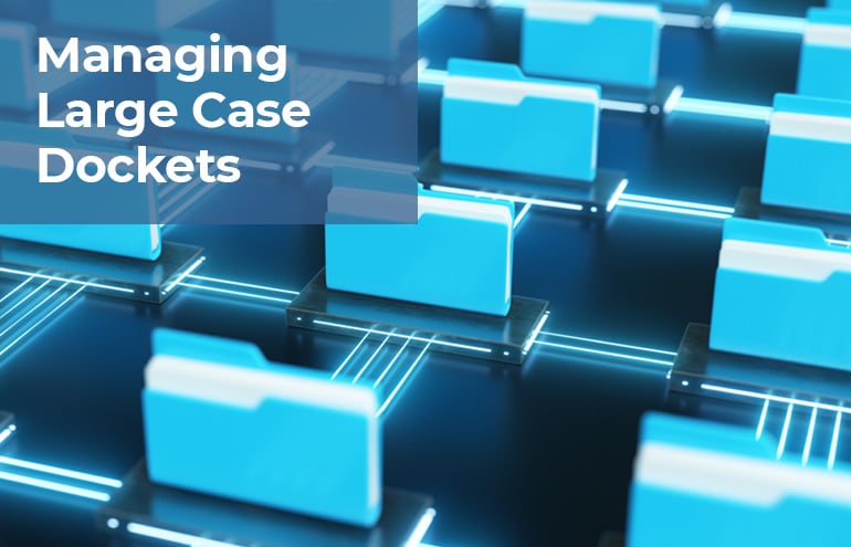 managing large docket cases