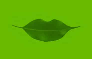 Green leaf shaped into a smile represents five ways gratitude for lawyers improves health and work