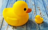 A large yellow mother rubber duck looking down at a smaller baby rubber duck, illustrating the motherhood penalty for lawyers.