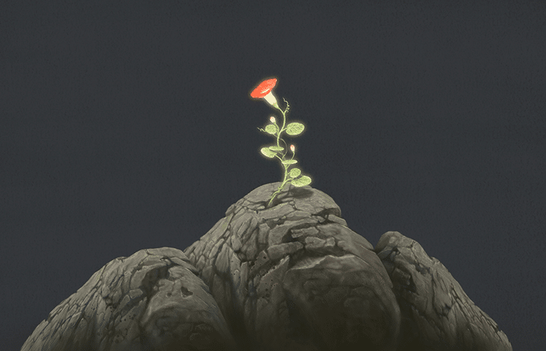 The Myth of Resilience: 5 Ways Lawyers Can Sustain Themselves Professionally 1 A flower growing on a rock showing the myth of resilience