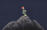 A flower growing on a rock showing the myth of resilience