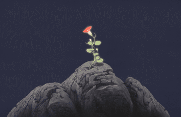 A flower growing on a rock showing the myth of resilience